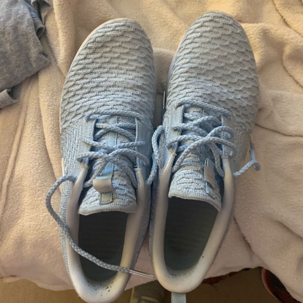 Light blue rosche